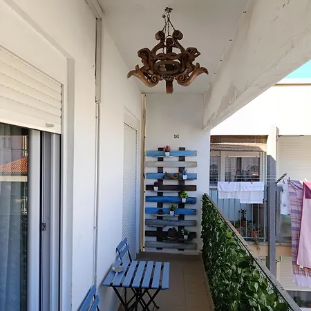 Viva Riva זאדאר