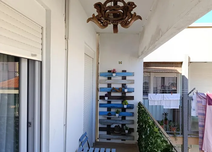 Viva Riva זאדאר